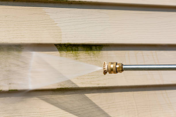Best Best Pressure Washing Companies  in Marquette Heights, IL
