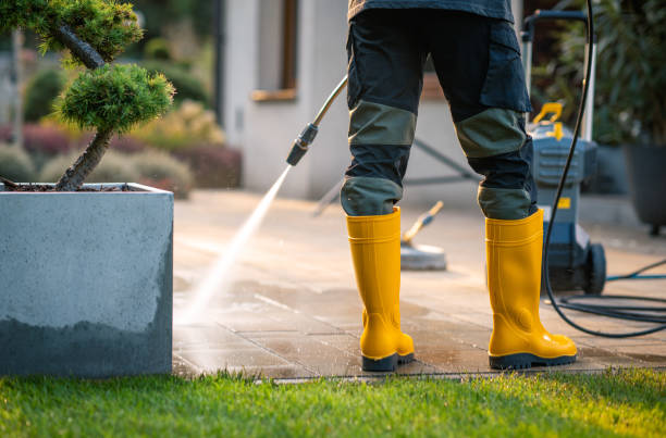 Best House Pressure Washing  in Marquette Heights, IL